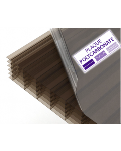 Panneau de polycarbonate alvéolaire 25 mm couleur bronze