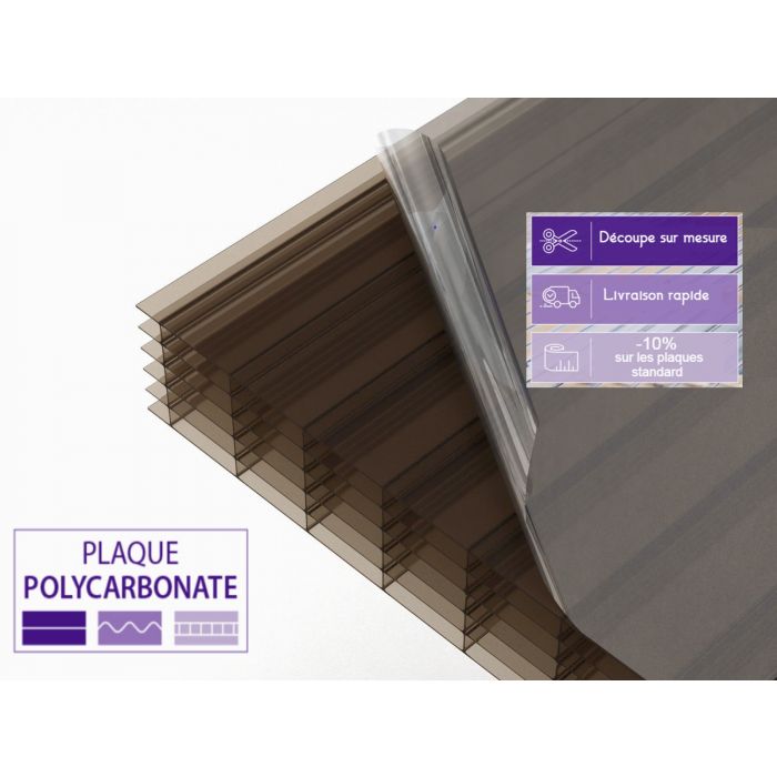 Plaque alvéolaire double paroi en PMMA transparent