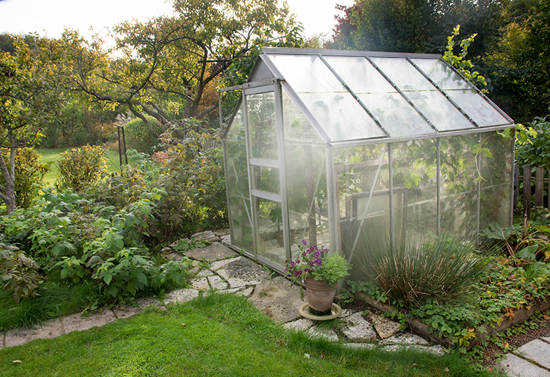 Greenhouse 4