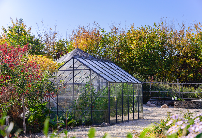 4mm Polycarbonate Compact Transparent pour Serre de Jardin - Sur mesure - Image 4