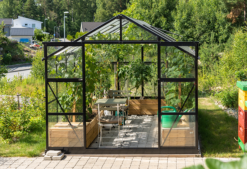 4mm Polycarbonate Compact Transparent pour Serre de Jardin - Sur mesure
